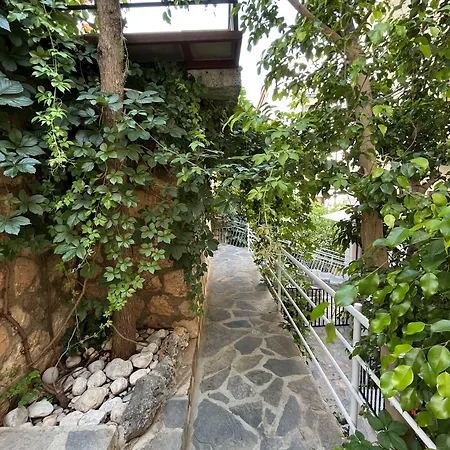 Talay * Kaş
